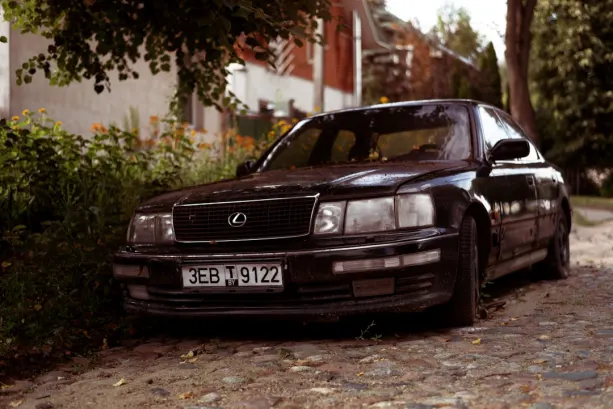 אםאואי קזינו אפליקציית Android/iOS